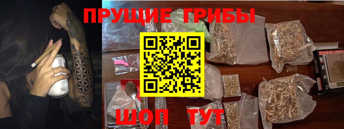 Псилоцибиновые грибы Psilocybine cubensis  Галлюциногенные грибы GOLDEN TEACHER  Магнитогорск  Вход с VPN 